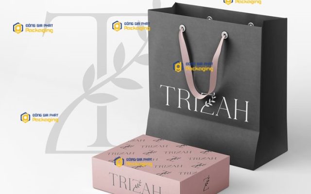 túi giấy đẹp tại Đồng gia phát